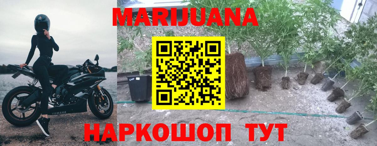 Каннабис OG Kush  Вход с VPN  Бошки марихуана SATIVA & INDICA  Зеленокумск  Бошки марихуана планчик 